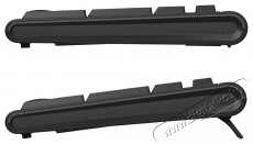 Eternico Essential Keyboard Wireless KS1000 - HU Iroda &eacute;s sz&aacute;m&iacute;t&aacute;stechnika - Billentyűzet / billentyűzet szett - Vezet&eacute;k n&eacute;lk&uuml;li - 503345