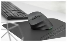 Eternico Wireless Vertical Mouse MVS490, balkezes, fekete Iroda &eacute;s sz&aacute;m&iacute;t&aacute;stechnika - Eg&eacute;r - Vezet&eacute;k n&eacute;lk&uuml;li eg&eacute;r - 535180