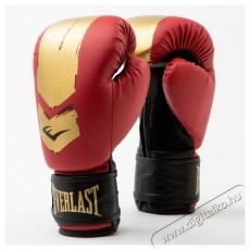 Everlast Prospect 2 edző boxkesztyű, 170 g, piros/arany H&aacute;ztart&aacute;s / Otthon / K&uuml;lt&eacute;r - J&aacute;t&eacute;k / Sport - Kieg&eacute;sz&iacute;tő - 533352