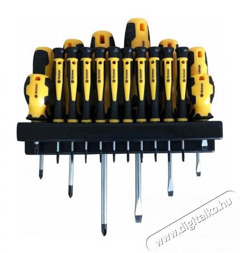 Fieldmann FDS 5007-18R csavarh&uacute;z&oacute; k&eacute;szlet 18db H&aacute;ztart&aacute;s / Otthon / K&uuml;lt&eacute;r - Szersz&aacute;m - Csavarh&uacute;z&oacute; / kulcs / f&uacute;r&oacute; / szersz&aacute;m k&eacute;szlet - 351788