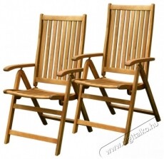 Fieldmann FDZN 4001-T d&ouml;nthető kerti sz&eacute;k (2db/ csomag) H&aacute;ztart&aacute;s / Otthon / K&uuml;lt&eacute;r - K&uuml;lt&eacute;r / kerti term&eacute;k / grill - Kerti b&uacute;tor - 310857