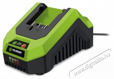Fieldmann FDUZ 79100 20V töltő Háztartás / Otthon / Kültér - Szerszám - Kiegészítő, tartozék - 376049