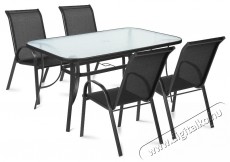 Fieldmann ELLA - f&eacute;mv&aacute;zas kerti szett H&aacute;ztart&aacute;s / Otthon / K&uuml;lt&eacute;r - K&uuml;lt&eacute;r / kerti term&eacute;k / grill - Kerti b&uacute;tor - 400525