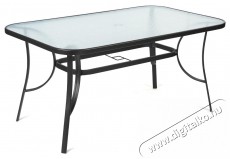 Fieldmann ELLA - f&eacute;mv&aacute;zas kerti szett H&aacute;ztart&aacute;s / Otthon / K&uuml;lt&eacute;r - K&uuml;lt&eacute;r / kerti term&eacute;k / grill - Kerti b&uacute;tor - 400525