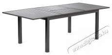 Fieldmann FDZN 5060 Asztal 172/242x100cm &Uacute;jdons&aacute;gok - Legfrissebb term&eacute;kek - 495078