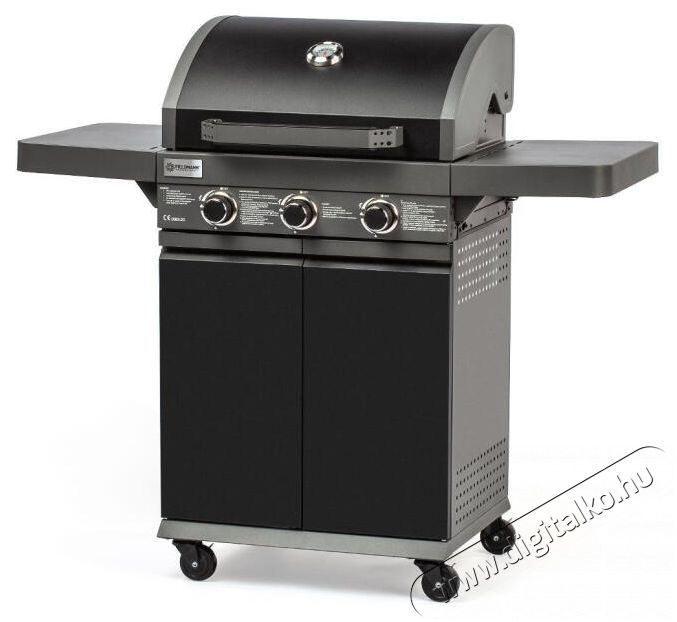 Fieldmann FZG 3006 g&aacute;z grill 3 &eacute;gőfejes H&aacute;ztart&aacute;s / Otthon / K&uuml;lt&eacute;r - K&uuml;lt&eacute;r / kerti term&eacute;k / grill - Kerti grill - 505120