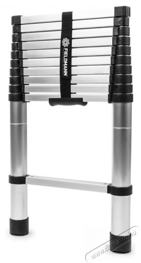 Fieldmann FZZ 4202 L&eacute;tra, teleszk&oacute;pos H&aacute;ztart&aacute;s / Otthon / K&uuml;lt&eacute;r - K&uuml;lt&eacute;r / kerti term&eacute;k / grill - L&eacute;tra - 531058