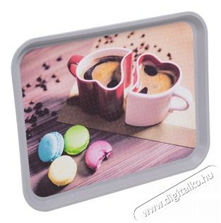 FLAIR-PLASTIC FLAIR 60528 Gastro 35x27cm dekor t&aacute;lca Konyhai term&eacute;kek - Egy&eacute;b / Konyhai kieg&eacute;sz&iacute;tő - 508330
