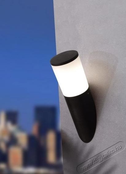 Fumagalli AMELIA WALL LED 8W 2,7K E27 k&uuml;lt&eacute;ri falil&aacute;mpa - fekete (DR2.570.000.AYM1R) H&aacute;ztart&aacute;s / Otthon / K&uuml;lt&eacute;r - Vil&aacute;g&iacute;t&aacute;s / elektromoss&aacute;g - Kerti / k&uuml;lt&eacute;ri l&aacute;mpa - 369501