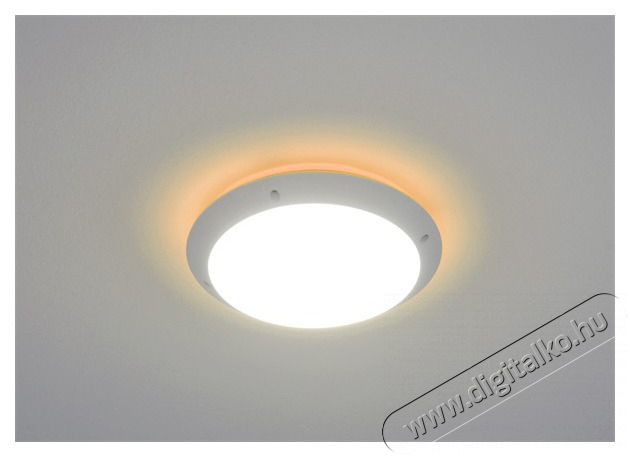 Fumagalli Lucia k&uuml;lt&eacute;ri falil&aacute;mpa narancss&aacute;rga h&aacute;tt&eacute;rvil&aacute;g&iacute;t&aacute;ssal H&aacute;ztart&aacute;s / Otthon / K&uuml;lt&eacute;r - Vil&aacute;g&iacute;t&aacute;s / elektromoss&aacute;g - Kerti / k&uuml;lt&eacute;ri l&aacute;mpa - 388348