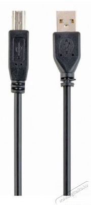 Gembird CCP-USB2-AMBM-6 1,8m USB A apa - USB B apa fekete k&aacute;bel Iroda &eacute;s sz&aacute;m&iacute;t&aacute;stechnika - Sz&aacute;m&iacute;t&oacute;g&eacute;p tartoz&eacute;k - USB k&aacute;bel - 463175