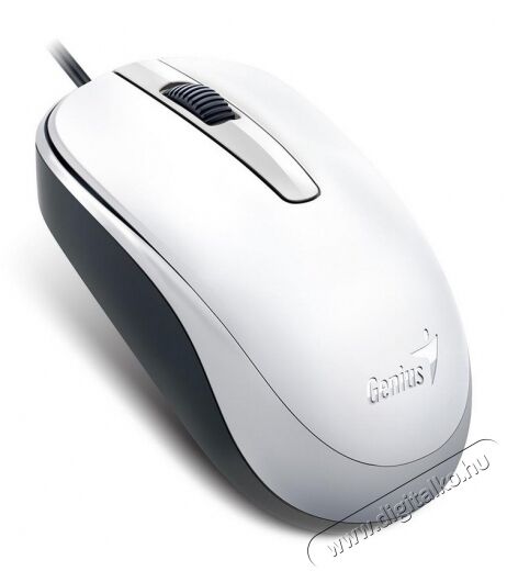 Genius DX 120 USB vezet&eacute;kes eg&eacute;r - feh&eacute;r Iroda &eacute;s sz&aacute;m&iacute;t&aacute;stechnika - Eg&eacute;r - Vezet&eacute;kes eg&eacute;r - 326572
