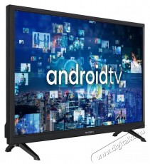 Gogen TVH 24A336 Telev&iacute;zi&oacute;k - LED telev&iacute;zi&oacute; - 720p HD Ready felbont&aacute;s&uacute; - 505838