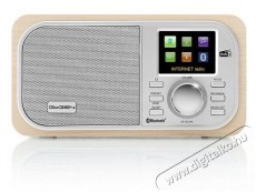 Gogen IR 237 BTDAB Audio-Video / Hifi / Multim&eacute;dia - R&aacute;di&oacute; / &oacute;r&aacute;s r&aacute;di&oacute; - Internet webr&aacute;di&oacute; - 524829