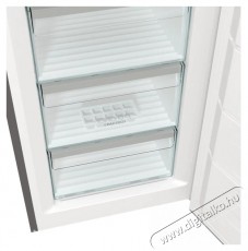 Gorenje FN619EAXL6 Fagyaszt&oacute;szekr&eacute;ny Konyhai term&eacute;kek - Hűtő, fagyaszt&oacute; (szabadon&aacute;ll&oacute;) - Fagyaszt&oacute;szekr&eacute;ny - 383703
