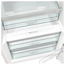 Gorenje R619EAW6 Egyajt&oacute;s hűtőszekr&eacute;ny Konyhai term&eacute;kek - Hűtő, fagyaszt&oacute; (szabadon&aacute;ll&oacute;) - Egyajt&oacute;s hűtő - 386575