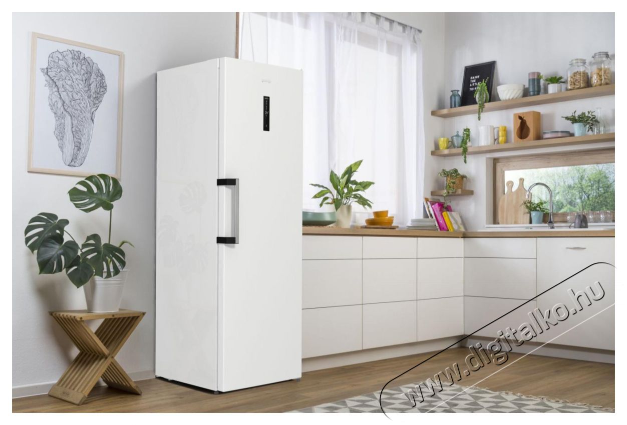Gorenje R619EAW6 Egyajt&oacute;s hűtőszekr&eacute;ny Konyhai term&eacute;kek - Hűtő, fagyaszt&oacute; (szabadon&aacute;ll&oacute;) - Egyajt&oacute;s hűtő - 386575