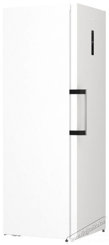 Gorenje R619EAW6 Egyajt&oacute;s hűtőszekr&eacute;ny Konyhai term&eacute;kek - Hűtő, fagyaszt&oacute; (szabadon&aacute;ll&oacute;) - Egyajt&oacute;s hűtő - 386575