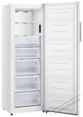 Gorenje FN617EEW5 fagyaszt&oacute;szekr&eacute;ny Konyhai term&eacute;kek - Hűtő, fagyaszt&oacute; (szabadon&aacute;ll&oacute;) - Fagyaszt&oacute;szekr&eacute;ny - 493479
