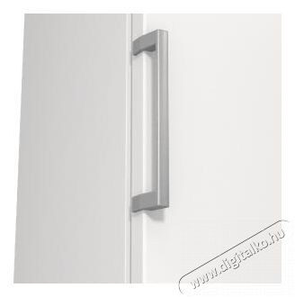 Gorenje FN619EEW5 fagyaszt&oacute;szekr&eacute;ny Konyhai term&eacute;kek - Hűtő, fagyaszt&oacute; (szabadon&aacute;ll&oacute;) - Fagyaszt&oacute;szekr&eacute;ny - 494303