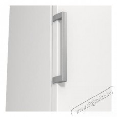 Gorenje FN619EEW5 fagyaszt&oacute;szekr&eacute;ny Konyhai term&eacute;kek - Hűtő, fagyaszt&oacute; (szabadon&aacute;ll&oacute;) - Fagyaszt&oacute;szekr&eacute;ny - 494303