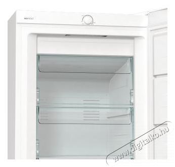Gorenje FN619EEW5 fagyaszt&oacute;szekr&eacute;ny Konyhai term&eacute;kek - Hűtő, fagyaszt&oacute; (szabadon&aacute;ll&oacute;) - Fagyaszt&oacute;szekr&eacute;ny - 494303