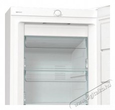 Gorenje FN619EEW5 fagyaszt&oacute;szekr&eacute;ny Konyhai term&eacute;kek - Hűtő, fagyaszt&oacute; (szabadon&aacute;ll&oacute;) - Fagyaszt&oacute;szekr&eacute;ny - 494303