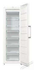 Gorenje FN619EEW5 fagyaszt&oacute;szekr&eacute;ny Konyhai term&eacute;kek - Hűtő, fagyaszt&oacute; (szabadon&aacute;ll&oacute;) - Fagyaszt&oacute;szekr&eacute;ny - 494303