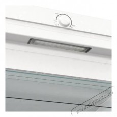 Gorenje FN619EEW5 fagyaszt&oacute;szekr&eacute;ny Konyhai term&eacute;kek - Hűtő, fagyaszt&oacute; (szabadon&aacute;ll&oacute;) - Fagyaszt&oacute;szekr&eacute;ny - 494303