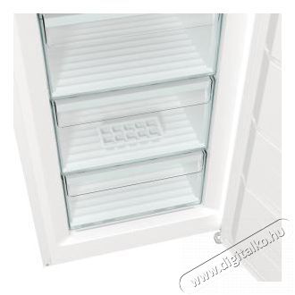 Gorenje FN619EEW5 fagyaszt&oacute;szekr&eacute;ny Konyhai term&eacute;kek - Hűtő, fagyaszt&oacute; (szabadon&aacute;ll&oacute;) - Fagyaszt&oacute;szekr&eacute;ny - 494303