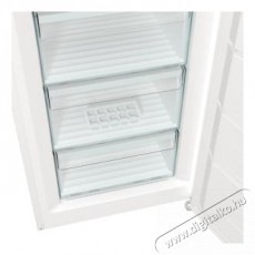 Gorenje FN619EEW5 fagyaszt&oacute;szekr&eacute;ny Konyhai term&eacute;kek - Hűtő, fagyaszt&oacute; (szabadon&aacute;ll&oacute;) - Fagyaszt&oacute;szekr&eacute;ny - 494303