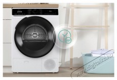 Gorenje DPNA92WIFI &Uacute;jdons&aacute;gok - Legfrissebb term&eacute;kek - 499728