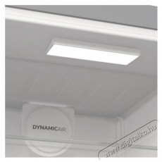 Gorenje R619DAXL6 Szabadon&aacute;ll&oacute; egyajt&oacute;s hűtő Konyhai term&eacute;kek - Hűtő, fagyaszt&oacute; (szabadon&aacute;ll&oacute;) - Egyajt&oacute;s hűtő - 527220
