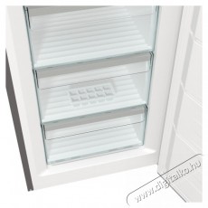 Gorenje fn619daxl6 Fagyaszt&oacute;szekr&eacute;ny inox 185 cm 280 4 fi&oacute;k 2 rekesz 1 polc Konyhai term&eacute;kek - Hűtő, fagyaszt&oacute; (szabadon&aacute;ll&oacute;) - Fagyaszt&oacute;szekr&eacute;ny - 531515