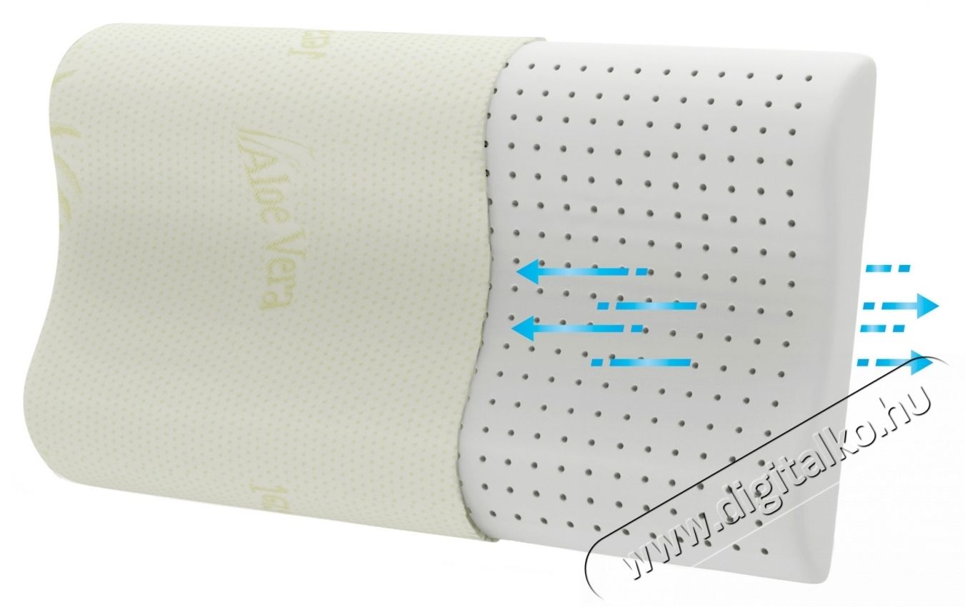 Green Future Soft Memory Latex Aloe Vera P&aacute;rna, 41 x 60 x 11 cm Sz&eacute;ps&eacute;g&aacute;pol&aacute;s / Eg&eacute;szs&eacute;g - Egy&eacute;b sz&eacute;ps&eacute;g / eg&eacute;szs&eacute;g term&eacute;k - 536623