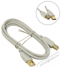 Hama 200903 FIC aranyozott USB 1,5m kábel Iroda és számítástechnika - Számítógép tartozék - USB kábel - 387390