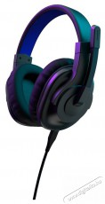 Hama SoundZ 100 V2 Gaming Headset, black (217856) Audio-Video / Hifi / Multim&eacute;dia - F&uuml;l &eacute;s Fejhallgat&oacute;k - Fejhallgat&oacute; mikrofonnal / headset - 493686