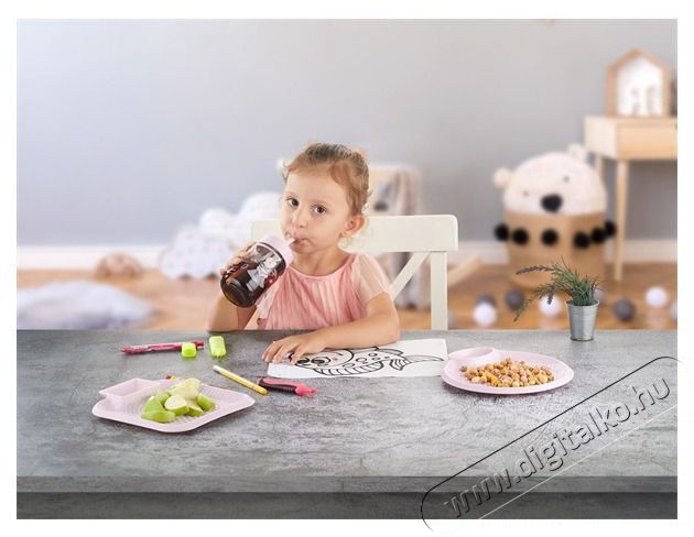 HANE IRIS Atlanta &uuml;veg italos palack sz&iacute;v&oacute;sz&aacute;llal 315ml, r&oacute;zsasz&iacute;n vagy piros sz&iacute;nben HN-1756 Konyhai term&eacute;kek - Konyhai eszk&ouml;z - Egy&eacute;b konyhai eszk&ouml;z - 507681