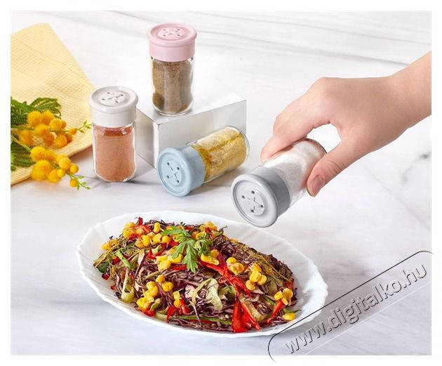 HANE IRIS Button &uuml;veg fűszersz&oacute;r&oacute; 67ml, r&oacute;szasz&iacute;n, feh&eacute;r, sz&uuml;rke vagy k&eacute;k sz&iacute;nű HN-1136 H&aacute;ztart&aacute;s / Otthon / K&uuml;lt&eacute;r - Lak&aacute;sfelszerel&eacute;s - T&aacute;rol&oacute; - 508722