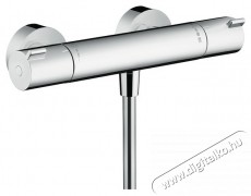Hansgrohe Ecostat 1001 CL Zuhany csaptelep, termoszt&aacute;ttal Konyhai term&eacute;kek - Mosogat&oacute; - Mosogat&oacute; csaptelep - 536754