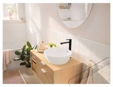 Hansgrohe Rebris S 240 mosd&oacute;csaptelep, hidegind&iacute;t&aacute;s, felugr&oacute; szeleppel, egykaros, matt fekete Konyhai term&eacute;kek - Mosogat&oacute; - Mosogat&oacute; csaptelep - 536748