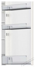 Hisense RB440N4AFC Konyhai term&eacute;kek - Hűtő, fagyaszt&oacute; (szabadon&aacute;ll&oacute;) - Alulfagyaszt&oacute;s kombin&aacute;lt hűtő - 509362