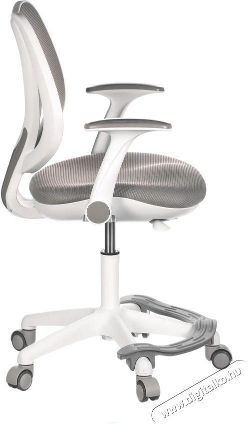 HOMEPRO Cambria, sz&uuml;rke h&aacute;l&oacute;s Iroda &eacute;s sz&aacute;m&iacute;t&aacute;stechnika - Egy&eacute;b sz&aacute;m&iacute;t&aacute;stechnikai term&eacute;k - 518356