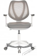 HOMEPRO Cambria, sz&uuml;rke h&aacute;l&oacute;s - Iroda &eacute;s sz&aacute;m&iacute;t&aacute;stechnika - Egy&eacute;b sz&aacute;m&iacute;t&aacute;stechnikai term&eacute;k - 518356