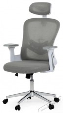 HOMEPRO Koda, sz&uuml;rke Iroda &eacute;s sz&aacute;m&iacute;t&aacute;stechnika - Egy&eacute;b sz&aacute;m&iacute;t&aacute;stechnikai term&eacute;k - 518348