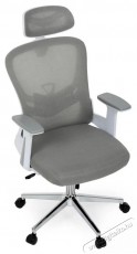 HOMEPRO Koda, sz&uuml;rke Iroda &eacute;s sz&aacute;m&iacute;t&aacute;stechnika - Egy&eacute;b sz&aacute;m&iacute;t&aacute;stechnikai term&eacute;k - 518348