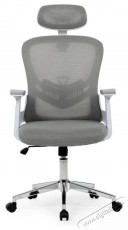 HOMEPRO Koda, sz&uuml;rke - Iroda &eacute;s sz&aacute;m&iacute;t&aacute;stechnika - Egy&eacute;b sz&aacute;m&iacute;t&aacute;stechnikai term&eacute;k - 518348