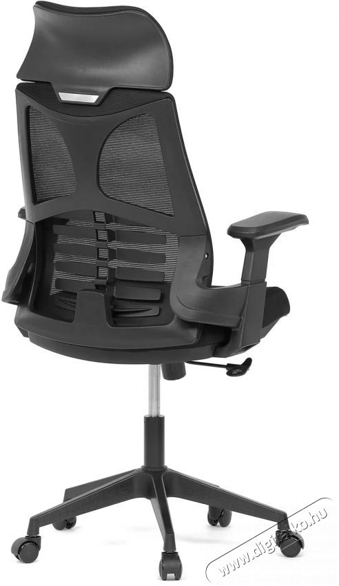 HOMEPRO Petrona, fekete Iroda &eacute;s sz&aacute;m&iacute;t&aacute;stechnika - Egy&eacute;b sz&aacute;m&iacute;t&aacute;stechnikai term&eacute;k - 518349
