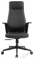 HOMEPRO Talia, fekete &ouml;kobőr - Iroda &eacute;s sz&aacute;m&iacute;t&aacute;stechnika - Egy&eacute;b sz&aacute;m&iacute;t&aacute;stechnikai term&eacute;k - 518360