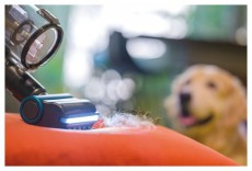 Hoover HF910P 011 vezet&eacute;k n&eacute;lk&uuml;li &aacute;ll&oacute; porsz&iacute;v&oacute; H&aacute;ztart&aacute;s / Otthon / K&uuml;lt&eacute;r - Porsz&iacute;v&oacute; / takar&iacute;t&oacute;g&eacute;p - K&eacute;zi / &aacute;ll&oacute; porsz&iacute;v&oacute; - 497000